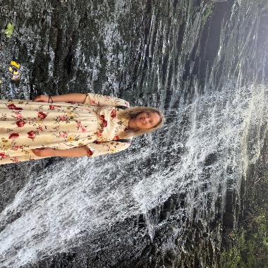 Începător în acest domniu