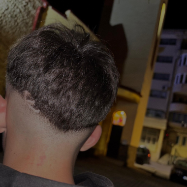 Proiecte, ese, rezolvări